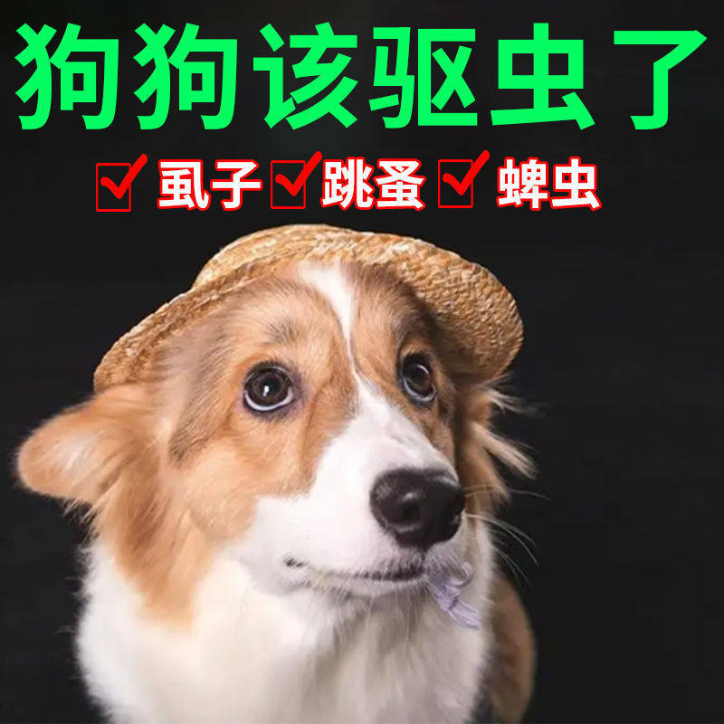 【安全不伤宠】狗狗体外驱虫喷雾剂快速除跳蚤虱子蜱虫宠物杀虫剂