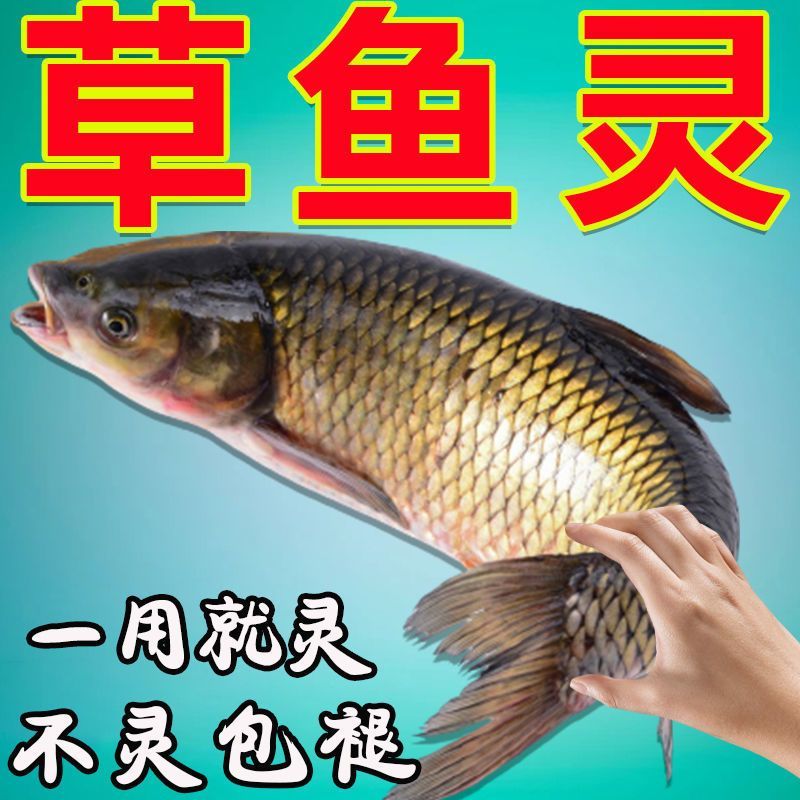 野钓草鱼饵料野钓大草鱼鲩鱼饵料黑坑草鱼饵配方综合饵果味鱼饵料