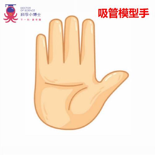 吸管模型手科技小制作DIY实验