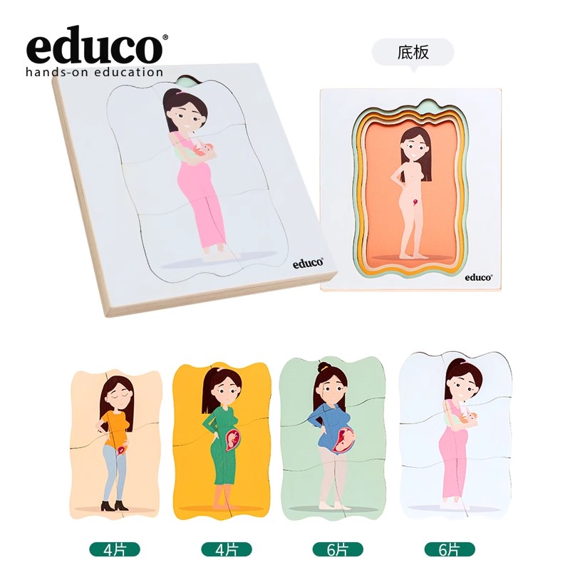 成长拼图孕育各个生长成长阶段