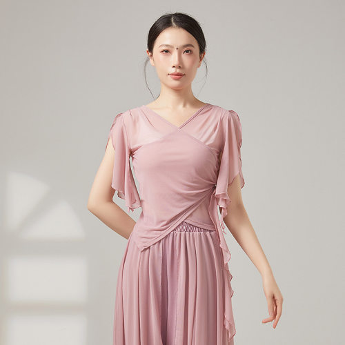 共妍网纱古典舞短袖演出服纱衣