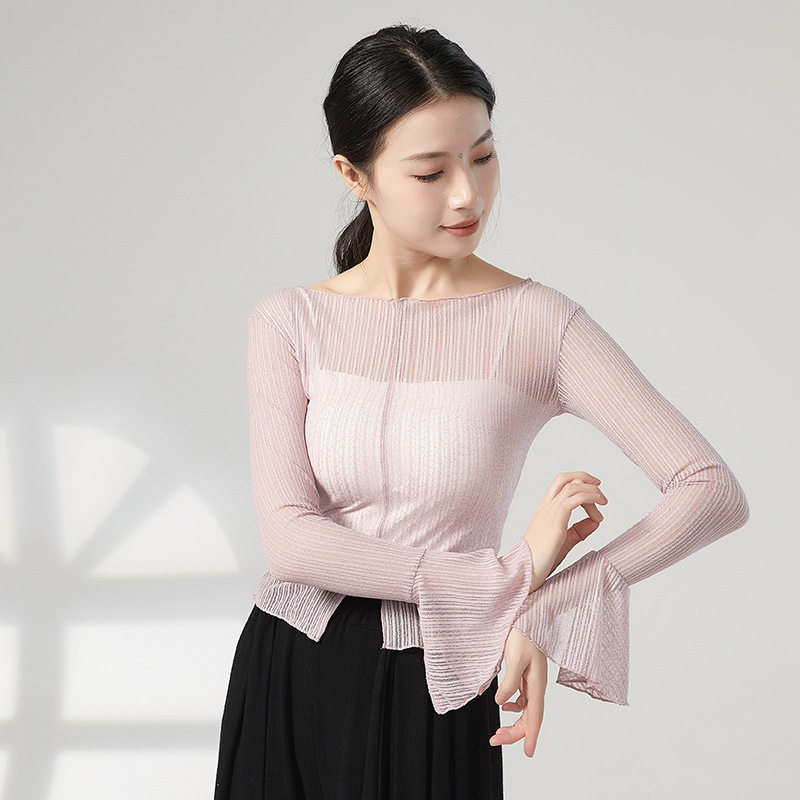 清仓飘逸开叉喇叭袖现代古典舞蹈形体训练功服装透视长袖网纱上衣
