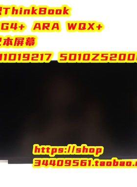 联想ThinkBook 14 G4+ ARA WQX+显示器屏幕5D11D19217 5D10Z52006