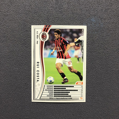 鲁伊科斯塔ac米兰panini帕尼尼