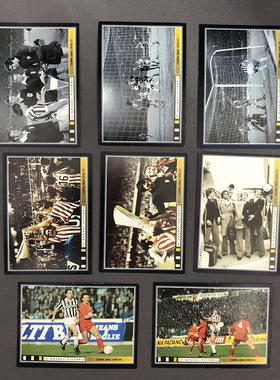 尤文图斯球星卡贴纸帕尼尼panini意甲足球冠军联盟杯历史juventus