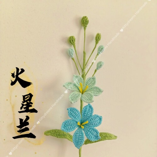 成品钩织毛线花火星兰成品花束搭配手捧花创意礼品闺蜜朋友礼物