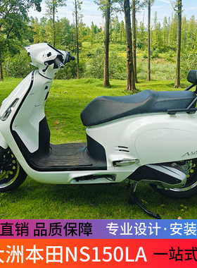 适用于25款新大洲本田NS150LA短尾靠背一体式尾架货架尾包架改装
