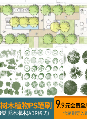 小清新水彩平面树植物ps笔刷乔木灌木园林景观总平面图灰色彩平图