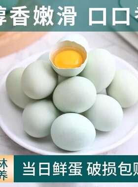 精选乌鸡蛋绿壳蛋月子蛋