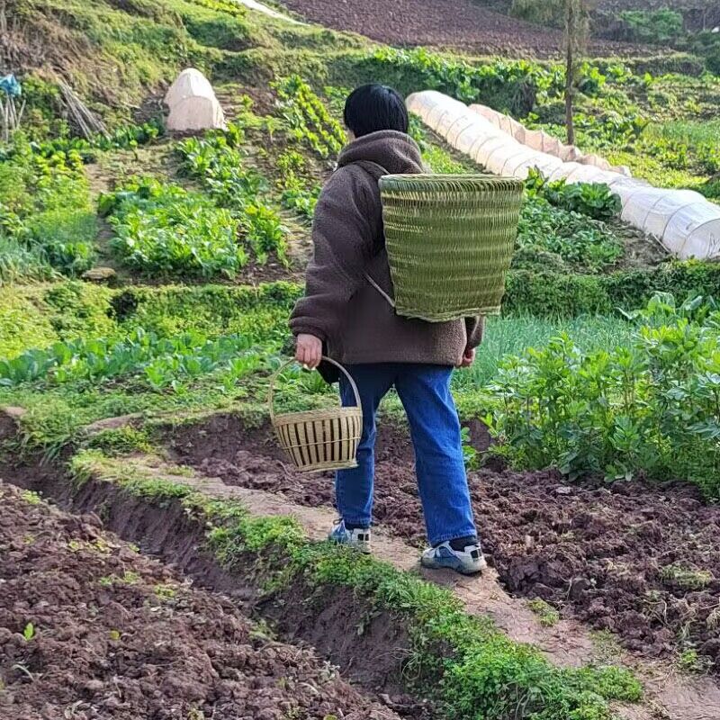 竹编手工背篓农家菜筐竹编筐云贵四川传统手工家用编织竹篓背兜