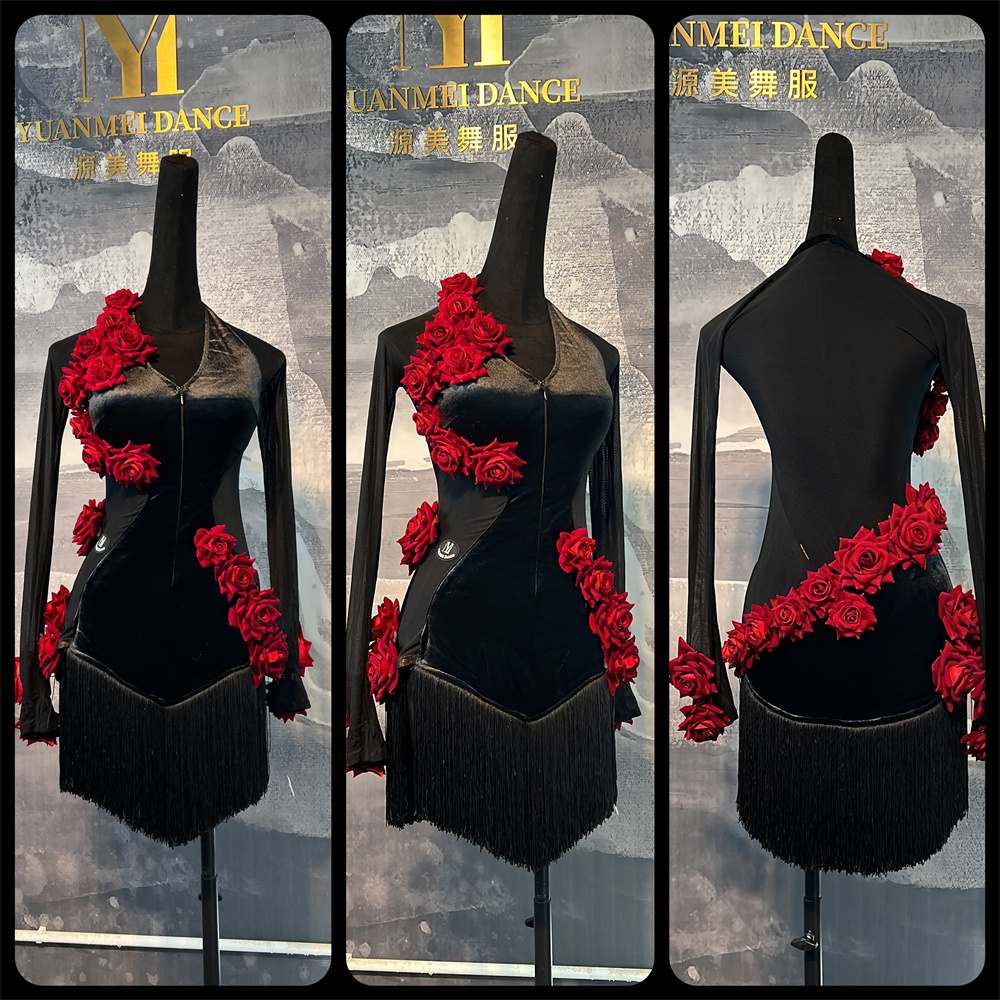 源美舞服拉丁舞裙舞服高级感套装夏季新款女成人舞蹈服长袖连衣裙