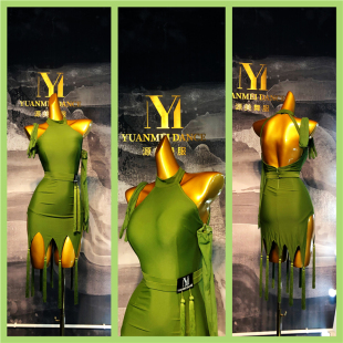 源美舞服 成人新款橄榄绿拉丁舞艺考服 伦巴恰恰挂脖流苏连衣长裙