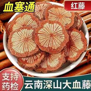 云南野生血塞通正宗深山老树大血藤脑血通可食用红藤血塞通泡酒水