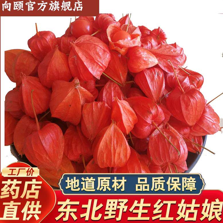 新货东北野生中药材红姑娘儿果山菇娘苦姑娘酸浆果锦灯笼干皮干果