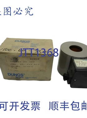 原装供应DUNGS TECHNIC 213813 110V NSMP