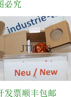 原装供应Pfannenberg P 100 FLF 闪烁灯 P100FLF Naranja 115 Vol