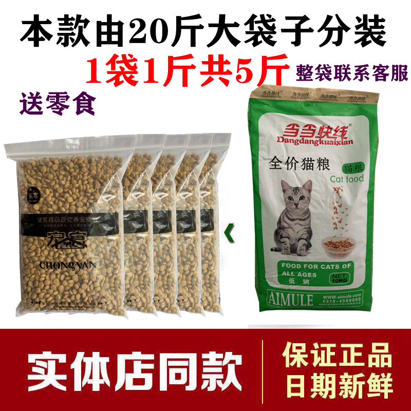 当当快线全阶段中国布偶