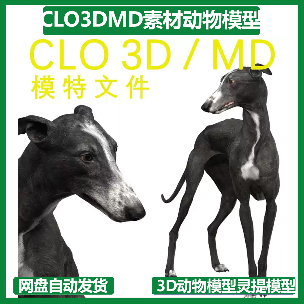 CLO3DMD素材文件3D模特素材3D动物模型狗狗模型灵缇犬模型