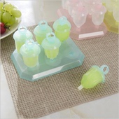 6个冰模冰棍模具冻冰棒模具冰糕雪糕模具无毒冰格diy冰激凌冰块