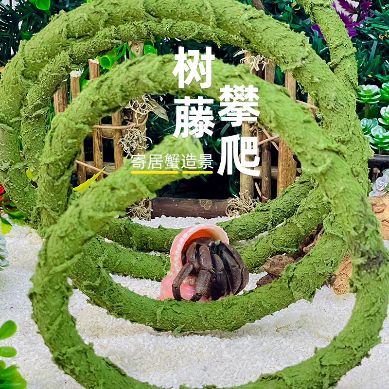 装饰可任意弯曲大小号造景寄居蟹