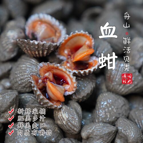 血蛤1袋400g±10g不包活