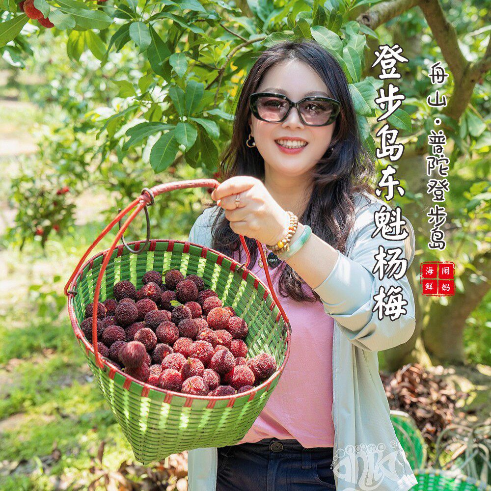 闹妈甄选舟山登步岛东魁杨梅富硒
