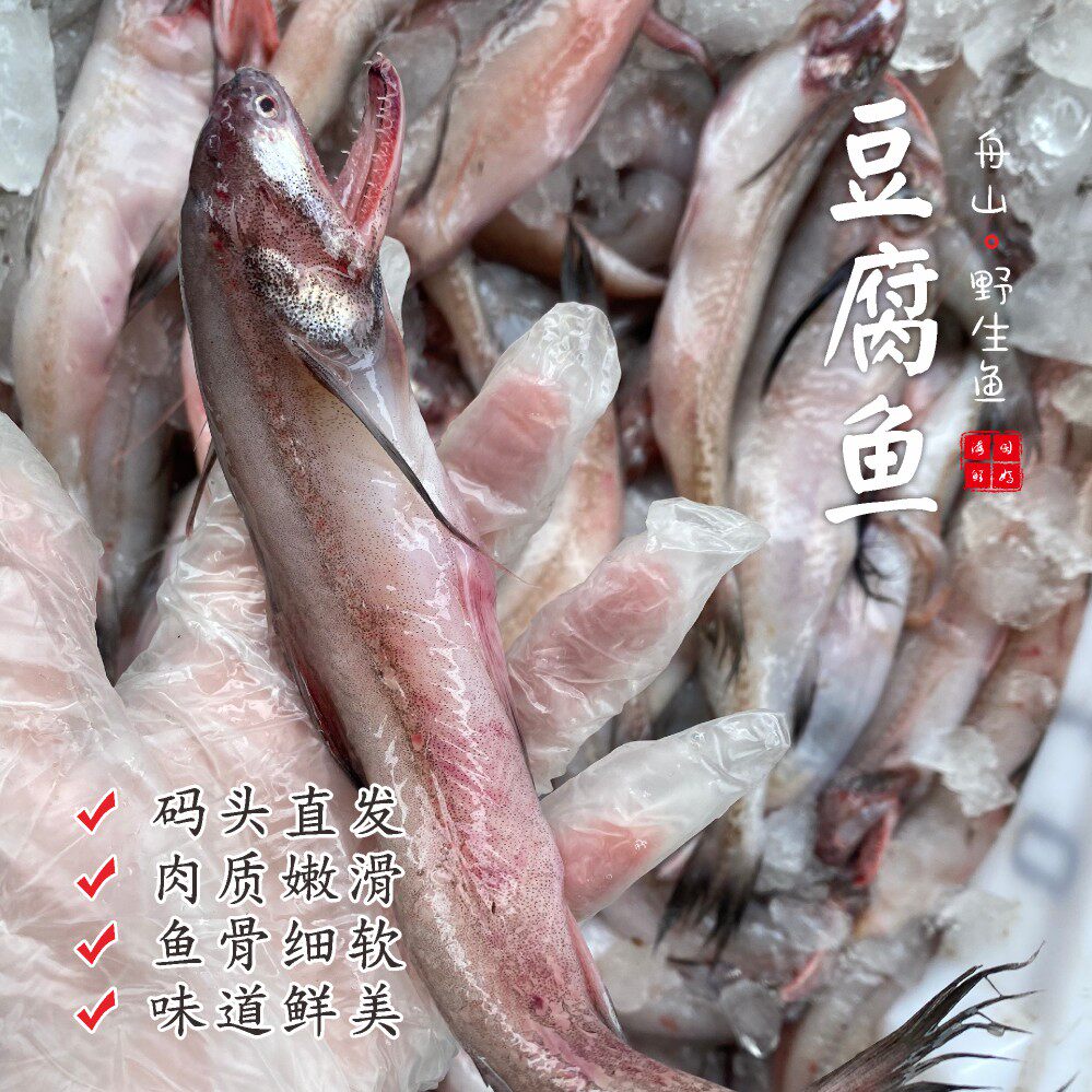 【闹妈】热气舟山豆腐鱼龙头鱼单拍不发1斤5条左右 （不包邮）