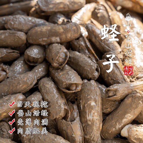 舟山海鲜鲜活蛏子泥蛏（不包活）