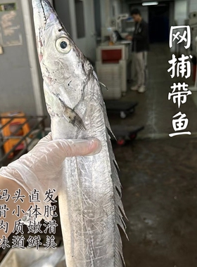 【闹妈】[鲜冻]舟山网捕雷达网油带鱼te大顶带按条卖 难得捕捞