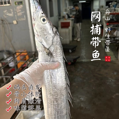 【闹妈】[鲜冻]舟山网捕雷达网油带鱼te大顶带按条卖 难得捕捞