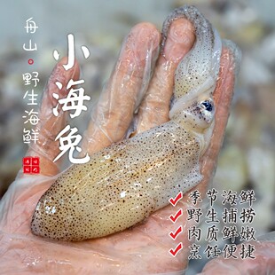 【闹妈海鲜】【鲜冻】舟山野生小海兔 各种规格