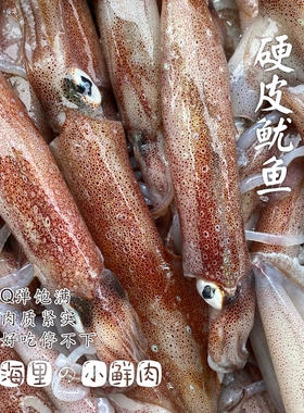 【闹妈】【热气】镇店之宝硬皮鱿鱼句公 1斤5-8只左右共500g±30g