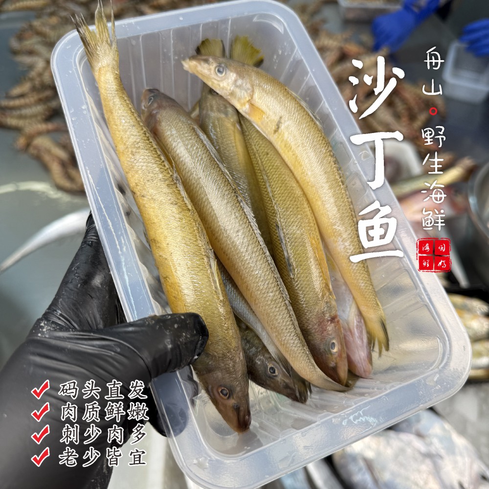 【闹妈海鲜】[鲜冻]舟山黄沙丁鱼 各种规格 按斤卖
