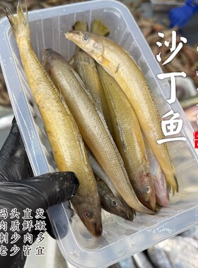 【闹妈海鲜】[鲜冻]舟山海捕黄沙丁鱼 各种规格 按斤卖