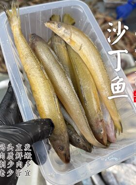 【闹妈海鲜】[鲜冻]舟山海捕黄沙丁鱼 各种规格 按斤卖