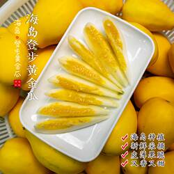 【闹妈】舟山登步黄金瓜 3斤/4斤装 单独发货包邮偏远除外