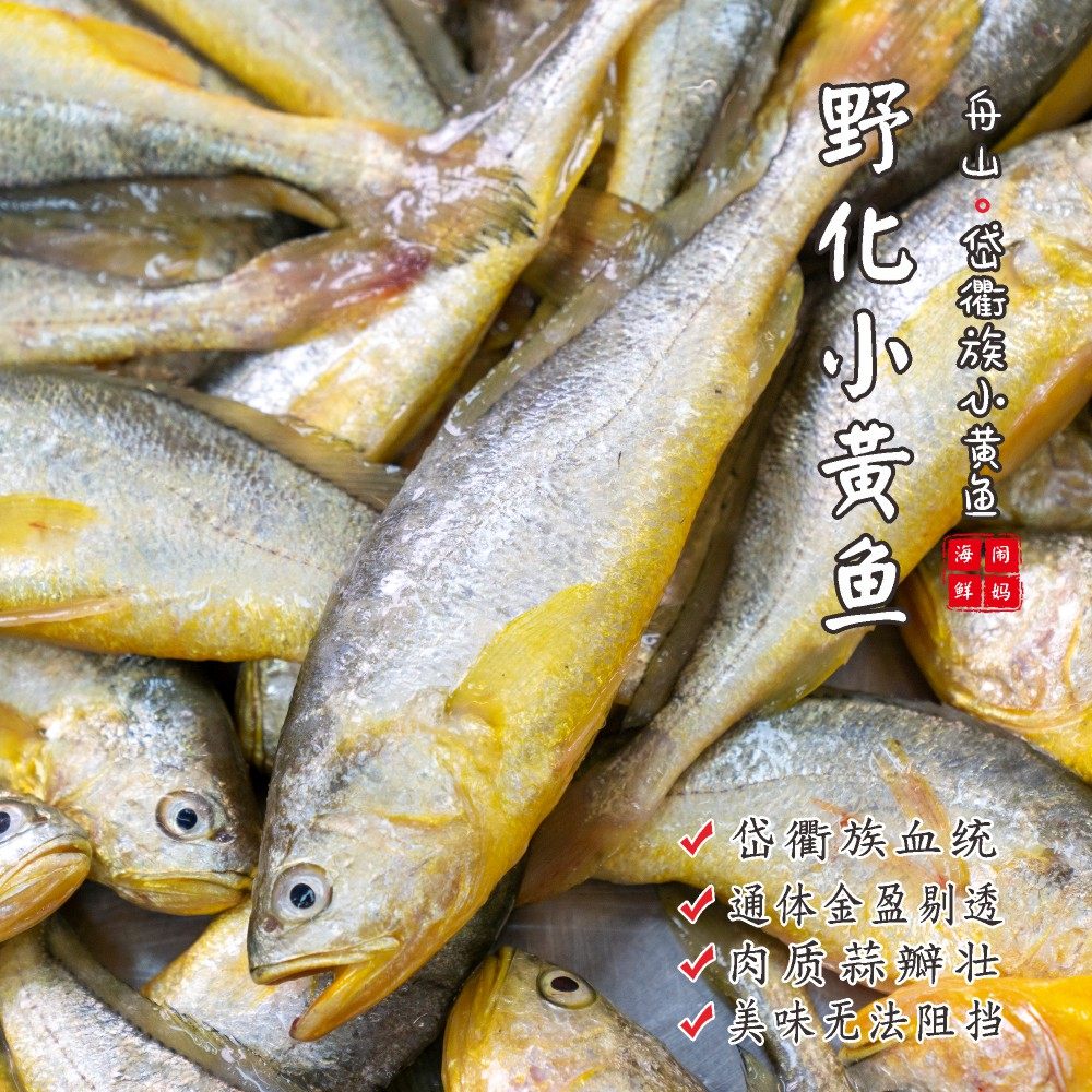 闹妈舟山岱山叮嘴门野化小黄鱼/野生亲鱼育苗款/鲜甜嫩,水产肉类/新鲜蔬果/熟食,黄鱼,淘宝优惠券,粉丝福利购,淘宝优惠卷