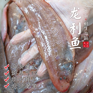 【闹妈】[鲜冻]舟山海捕粗鳞玉秃鱼 各种规格