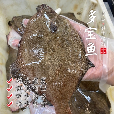 舟山海捕多宝鱼一年难得捕捞几回