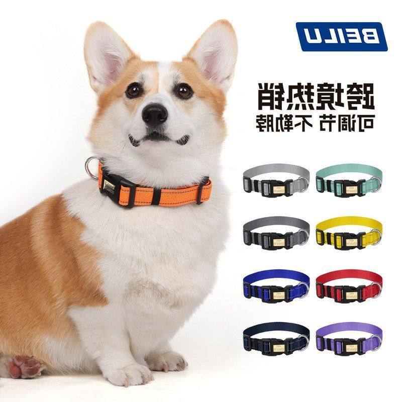 跨境新款宠物项圈防挣脱反光防丢狗狗项圈可调节可刻字宠物牵引绳,宠物/宠物食品及用品,项圈/肩带,淘宝优惠券,粉丝福利购,淘宝优惠卷