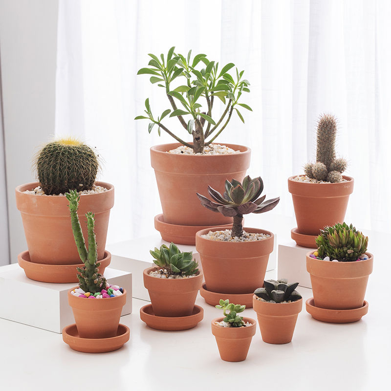 简约透气吸水红陶花盆多肉绿植花