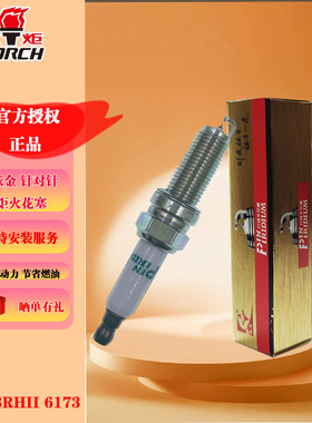 火炬双铱金针对针火花塞LDK8RHII 6173 奇瑞2.0T/1.6T奔驰E级