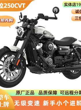 奔达金吉拉250CVT自动挡巡航复古太子摩托车水冷摩旅机车 整车