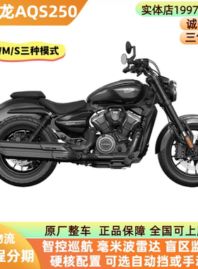 宗申赛科龙AQS250复古车智能巡航