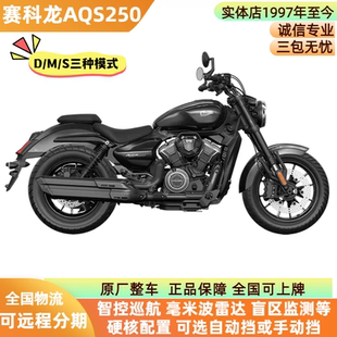 新款宗申赛科龙AQS250自动挡复古巡航摩托车街车水冷长途摩旅车