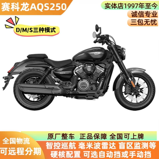 新款宗申赛科龙AQS250自动挡复古巡航摩托车街车水冷长途摩旅车