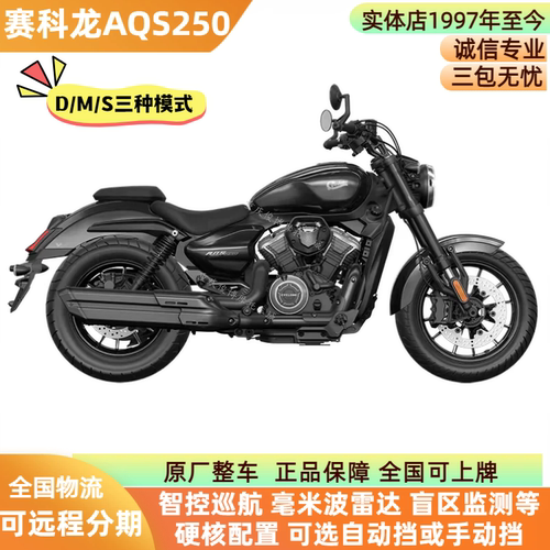 宗申赛科龙AQS250复古车智能巡航