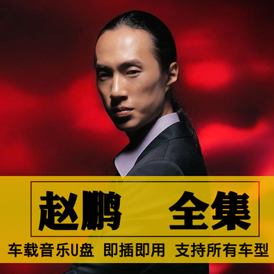 赵鹏歌曲全集U盘无损高音质经典新老歌曲全合集汽车载音乐优盘USB