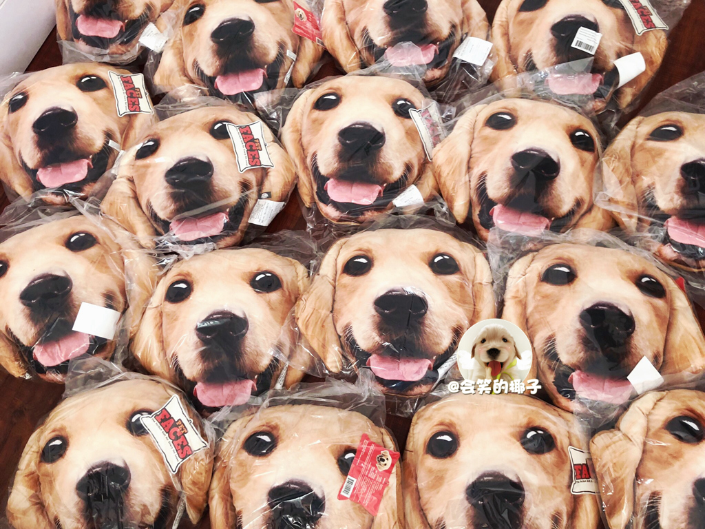 英国PET FACES 正版金毛3D抱枕靠枕 狗狗猫咪抱枕不爽猫拉拉法斗