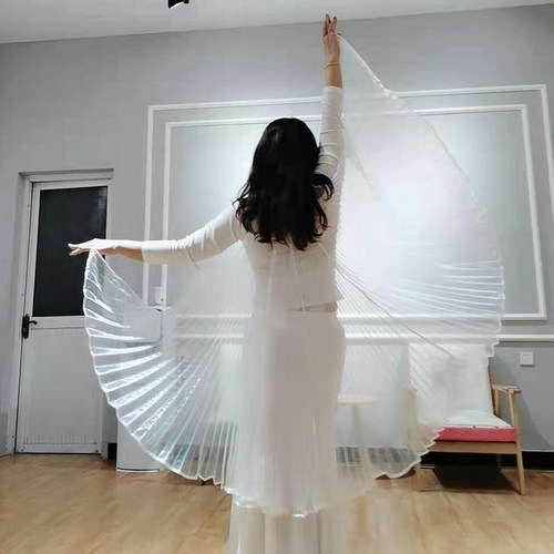 成人金翅披风舞蹈道具翅膀透明